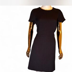 NWT Navy Blue BANANA REPUBLIC Textured Short-sleeve Knit A-Line Dress. Sz 14